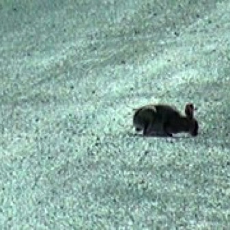 Screen Shot 2016-07-14 at 8.17.30 PM.jpg